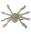 Pavouk 75cm tvarovatelný