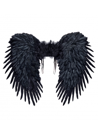 Křídla péřová černá 80x60cm