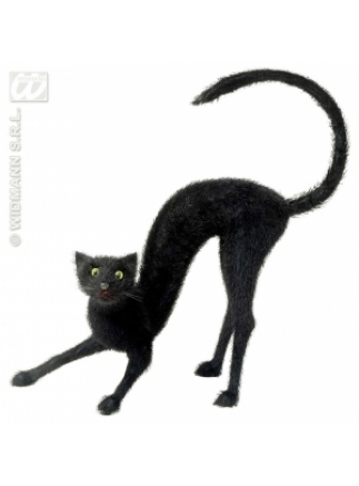 Kočka černá 57cm