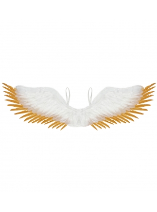 Křídla peří bílá/zlatá 100x25cm