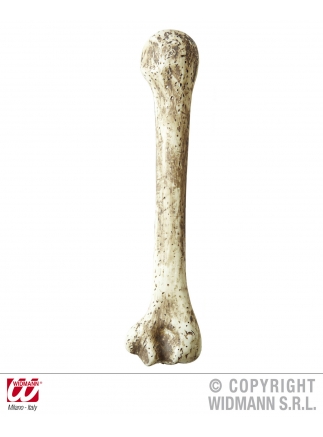 Kost starodávná 39 cm